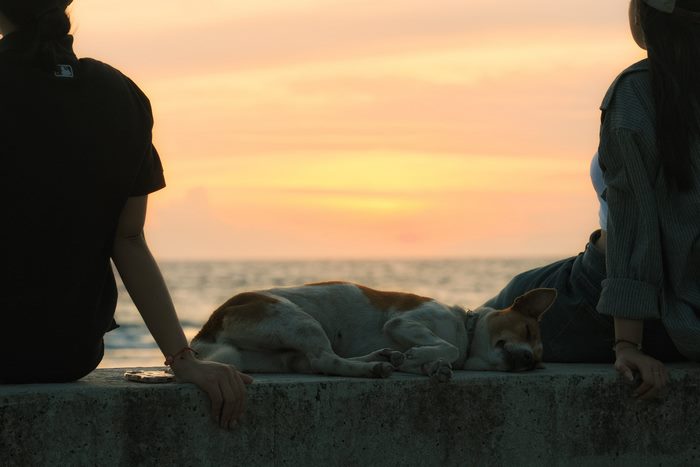 Phú Quý – Bản hòa ca của bình minh, biển cả và những vì sao