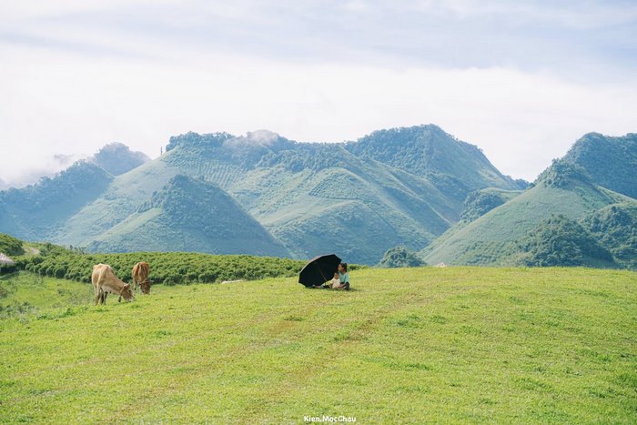  Trẻ em dân tộc chơi đùa giữa ruộng lúa, tiếng nước chảy róc rách từ suối hòa cùng tiếng cười, tiếng khèn, tạo nên một bản hòa ca mộc mạc, đậm chất núi rừng.