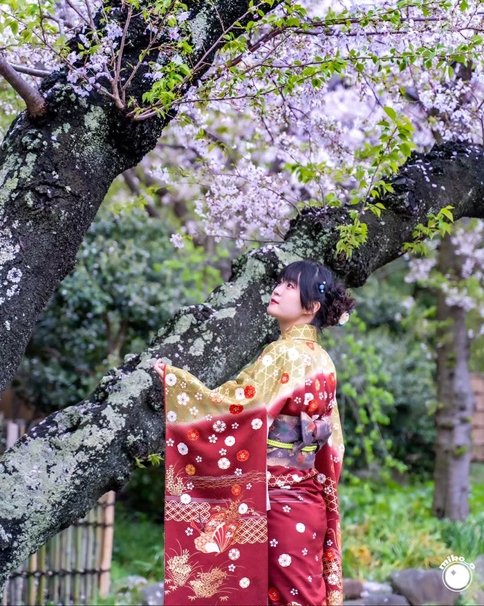 Dinh thự Rinshunkaku tại vườn Sankeien Nhật Bản