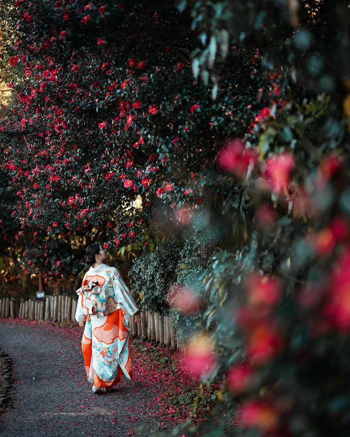 Trải nghiệm lễ hội tại vườn Sankeien Nhật Bản