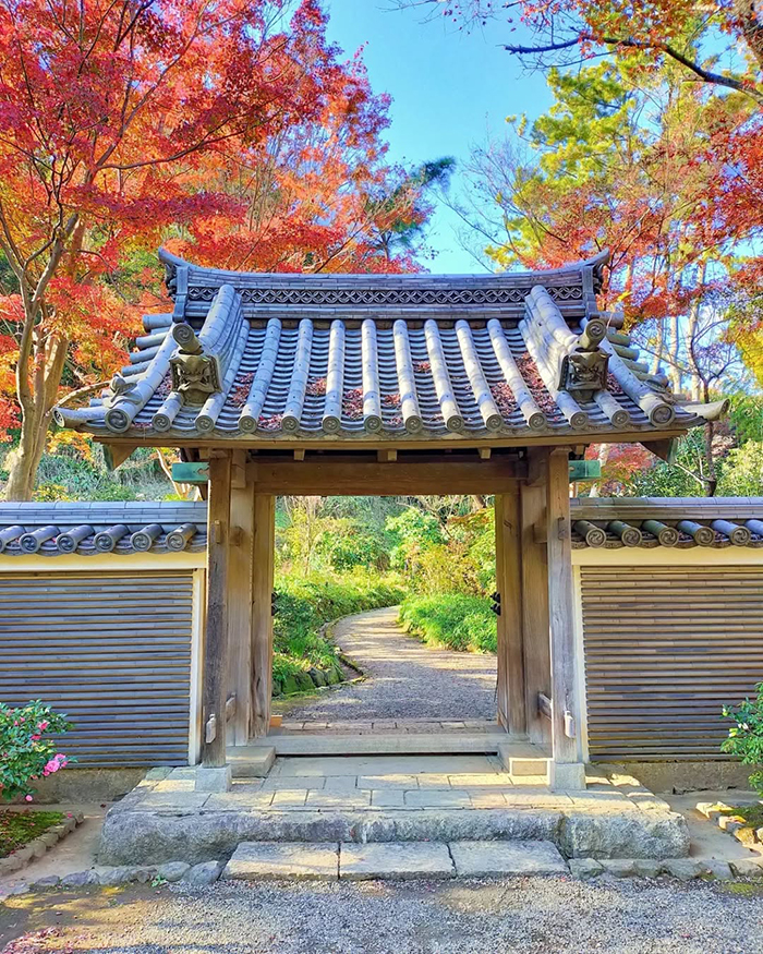 Thời điểm lý tưởng du lịch vườn Sankeien Nhật Bản