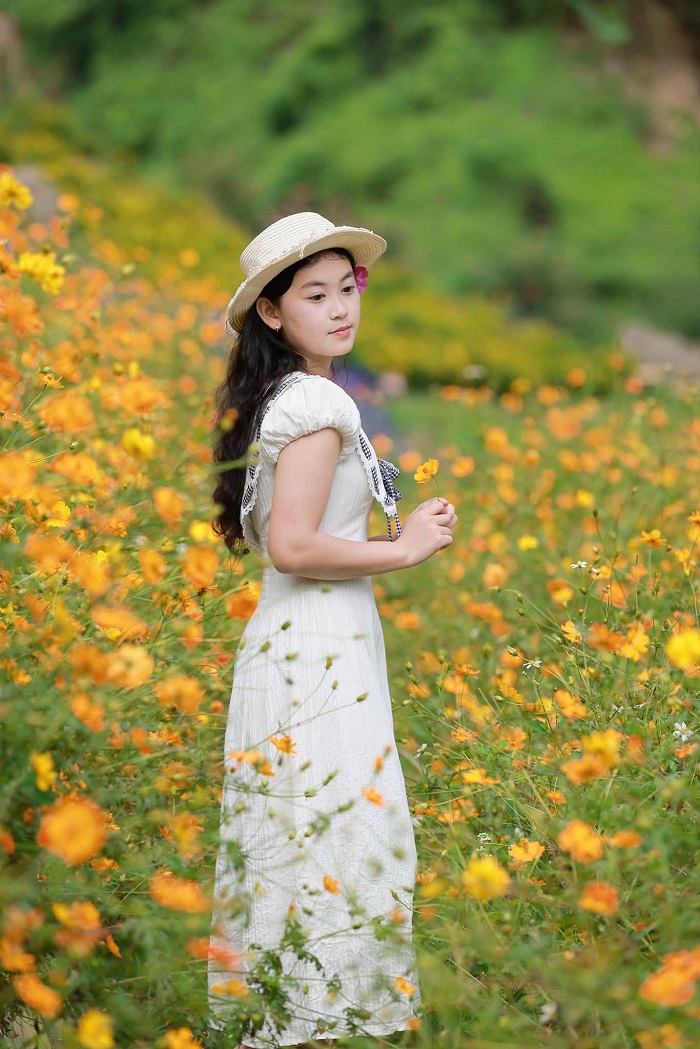 Hoa cánh bướm là một trong những loài hoa mùa hè ở Mộc Châu tuyệt đẹp