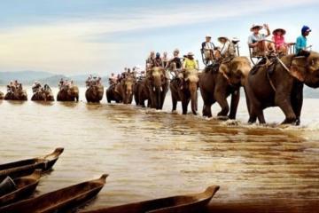 Du lịch Buôn Đôn: Hành trình khám phá rừng xanh của vùng đất 'Làng Đảo' xứ Đắk Lắk