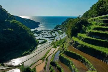 5 điểm đến ở Nhật Bản nhưng 'chẳng hề giống Nhật Bản'