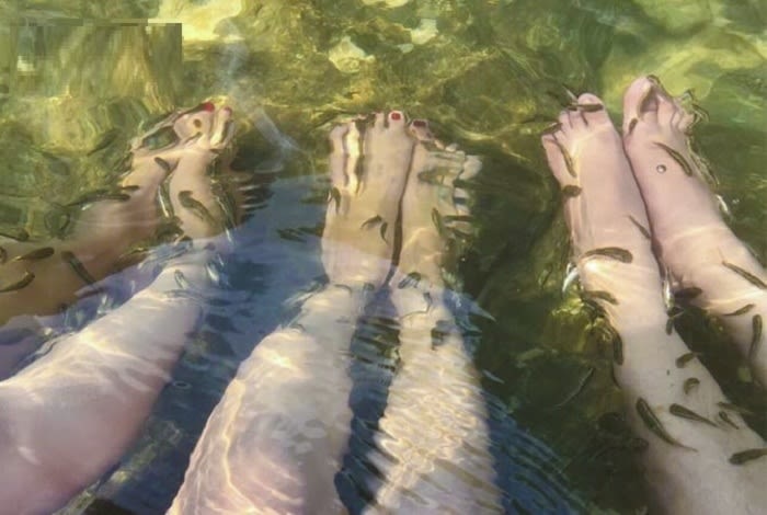 Ngâm chân dưới nước thác Khuổi Nhi Tuyên Quang để cảm nhận massage cá cực thú vị
