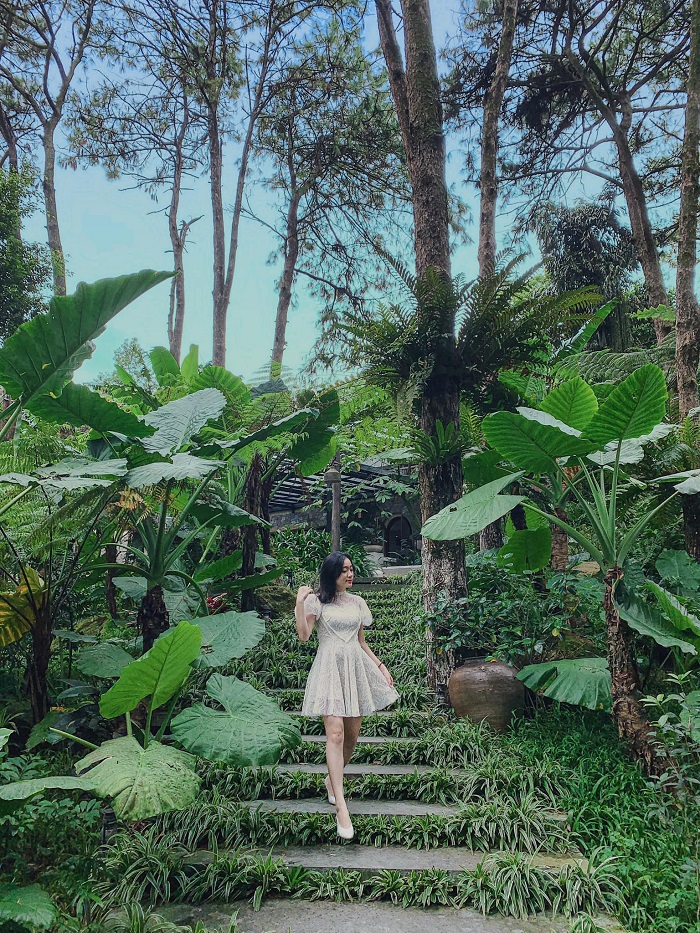 Không gian trong trẻo của Ba Vì - Điểm vui chơi trong ngày quanh Hà Nội dịp 2/9