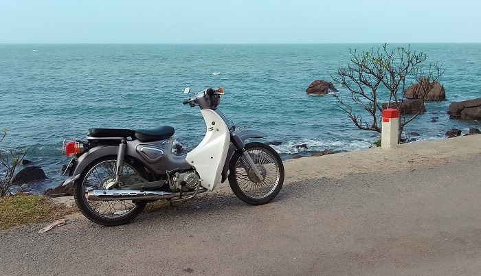 Bạn có thể du lịch Bãi Lữ Nghệ An bằng bất kể phương tiện nào