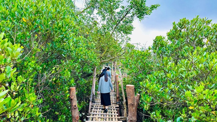 Khu du lịch sinh thái Cồn Đen Thái Bình có hệ thống rừng ngập mặn đa dạng