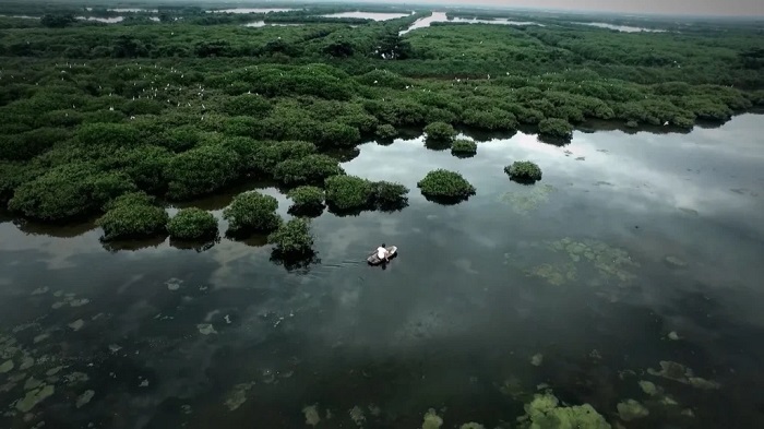 Khung cảnh đẹp lung linh của Khu du lịch sinh thái Cồn Đen Thái Bình nhìn từ trên cao