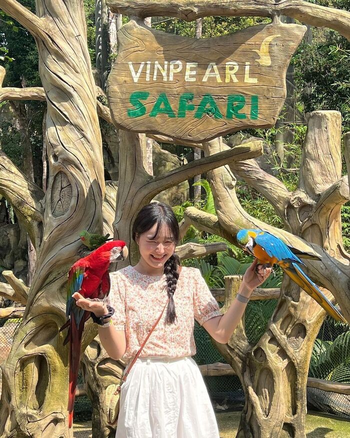 chơi gì ở Phú Quốc dịp lễ 2/9? Vui chơi ở Vinpearl Safari