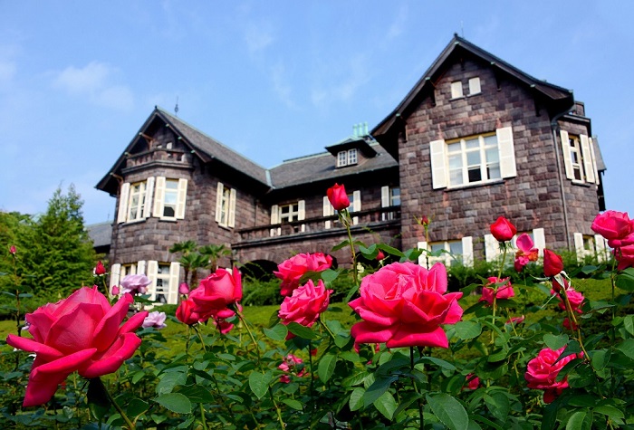 địa điểm ngắm hoa mùa thu ở Nhật Bản 