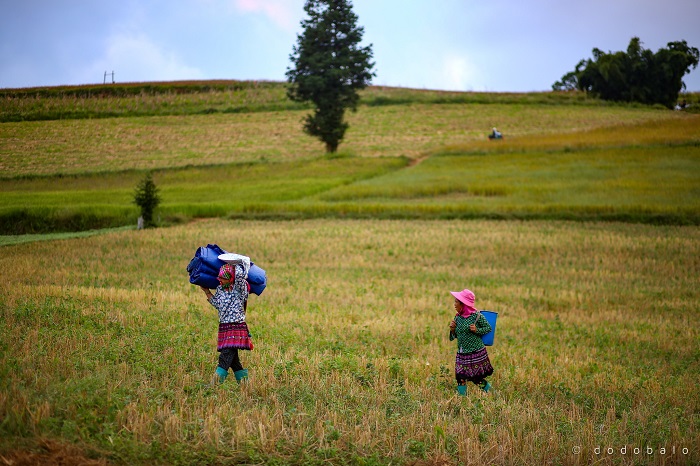 Thảo nguyên Suôi Thầu - Điểm du lịch trong nước được yêu thích nhất như một Mông Cổ thu nhỏ