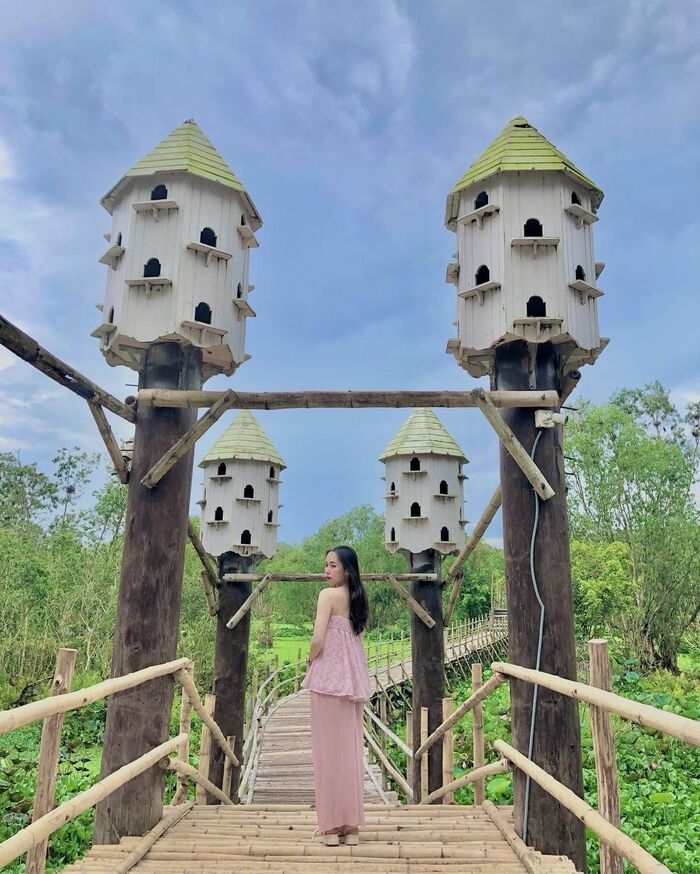 Du lịch An Giang mùa nước nổi đi đâu? Ghé thăm rừng tràm Trà Sư