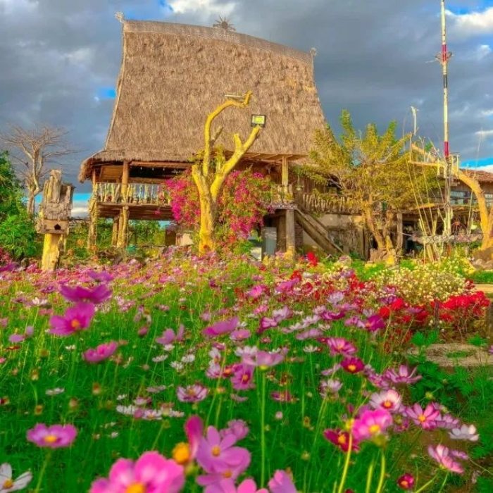 Du lịch Kon Tum tháng 8 đi chơi ở đâu Du lịch Kon Tum tháng 8 đi chơi ở đâu