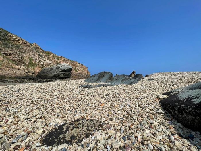 Hòn Sẹo Quy Nhơn 