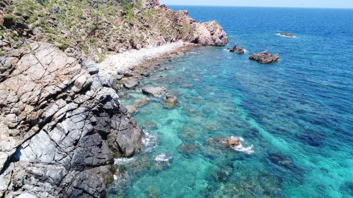 Hòn Sẹo Quy Nhơn -