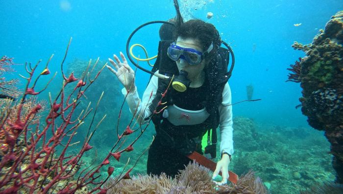 Hòn Sẹo Quy Nhơn 