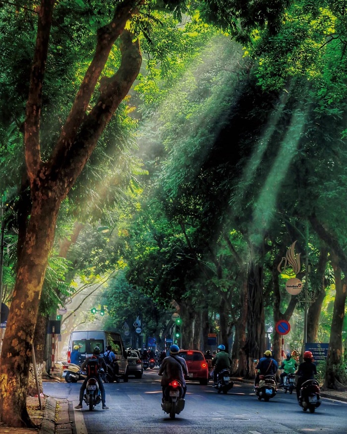 Phố Phan Đình Phùng Hà Nội có hàng sấu cổ thụ hai bên đường