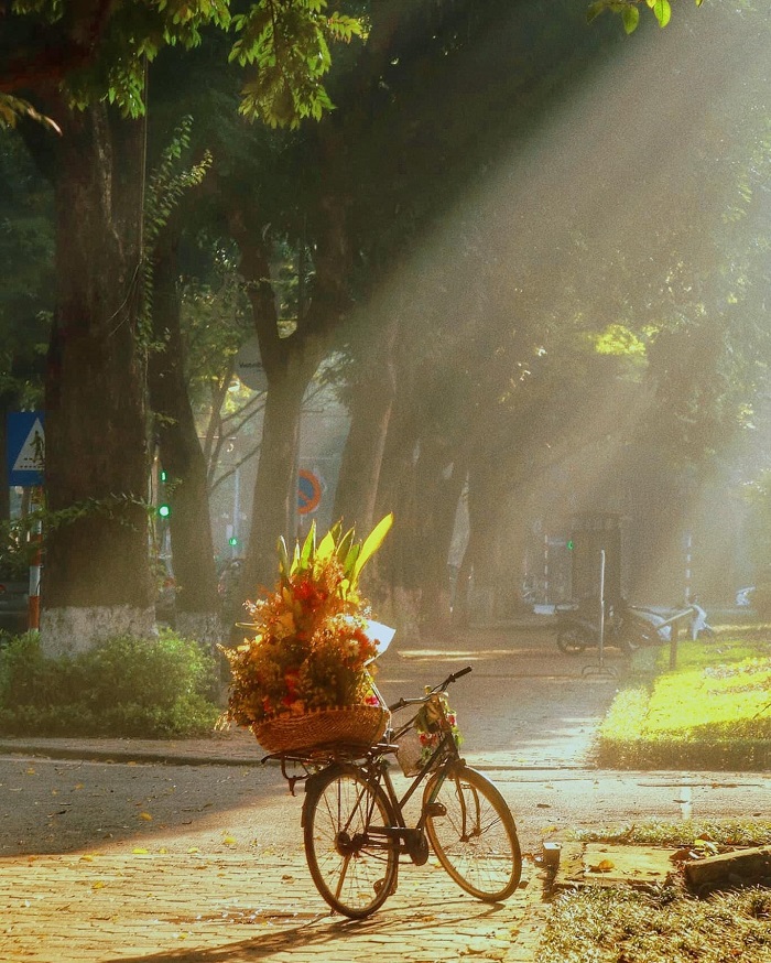 Phố Phan Đình Phùng Hà Nội với những cây sấu lâu năm tạo nên vẻ cổ kính và lãng mạn