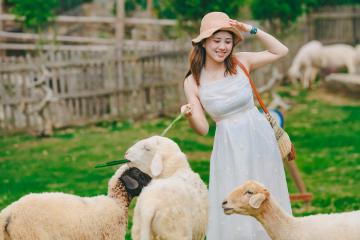 TOP 6 địa điểm dã ngoại ở Ninh Bình