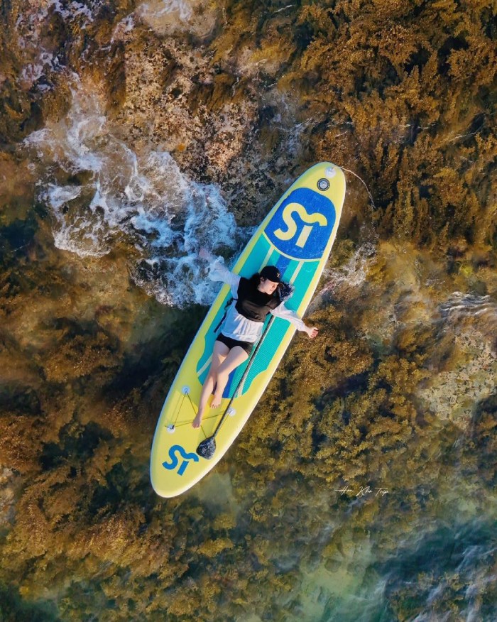 mùa rong mơ vào tháng 5 - 7 tại quy nhơn