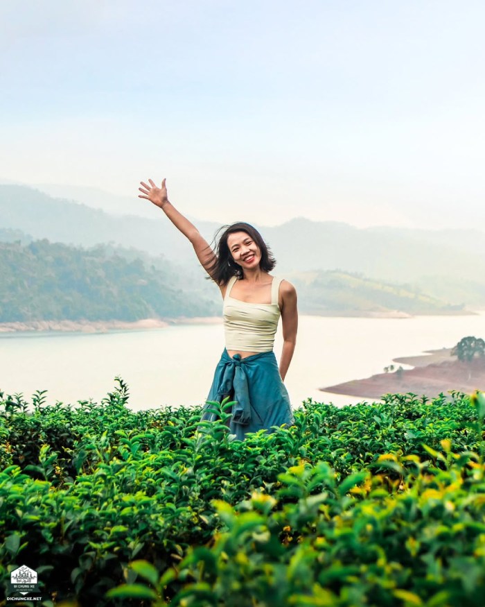 Du lịch Thác Liêng Ài check in đồi chè