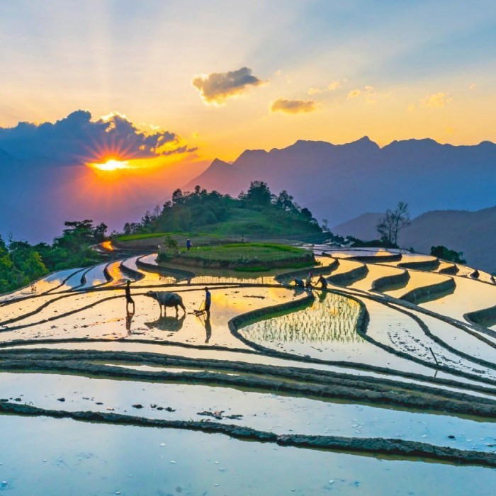 du lịch nậm cang chiêm ngưỡng ruộng bậc thang