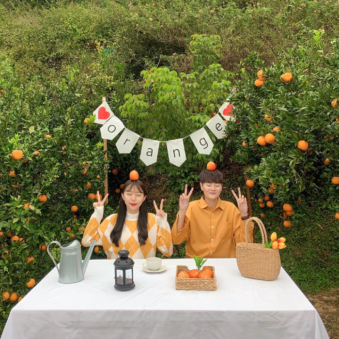 Vườn cam Chengxiang là điểm trải nghiệm đáng yêu cho các bạn trẻ