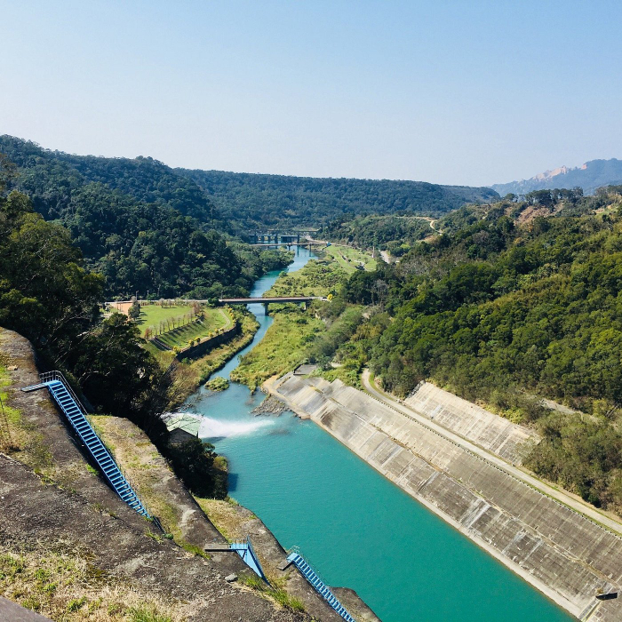 Thảm thực vật tươi xanh trong khu vực đầm nước