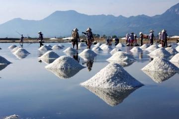 Du lịch Sa Huỳnh Quảng Ngãi - khám phá vẻ đẹp hoang sơ miền biển