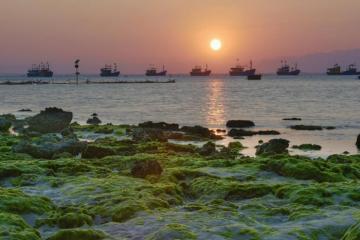 [Cập nhật] Du lịch Hòn Đỏ Ninh Thuận Khánh Hòa - Khám phá thiên đường biển hoang sơ