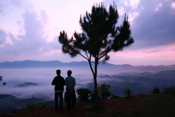 Kinh nghiệm du lịch Đồi Dổi Lâm Đồng: Nơi núi rừng bao la