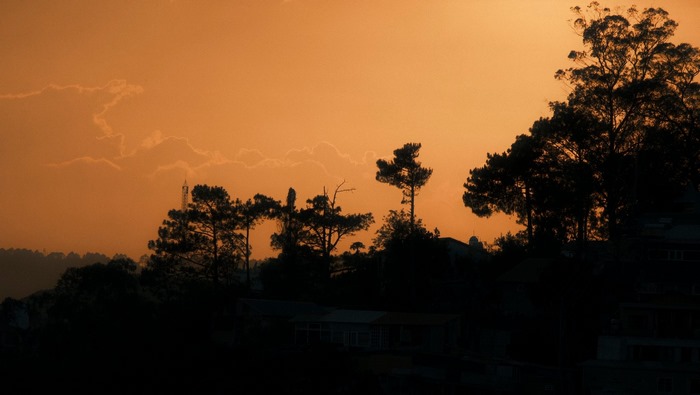 Hoàng hôn Đà Lạt – Bản tình ca cuối ngày của sương và gió