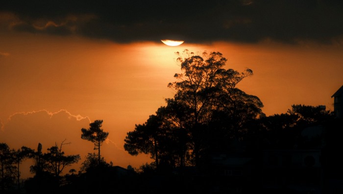 Hoàng hôn Đà Lạt – Bản tình ca cuối ngày của sương và gió