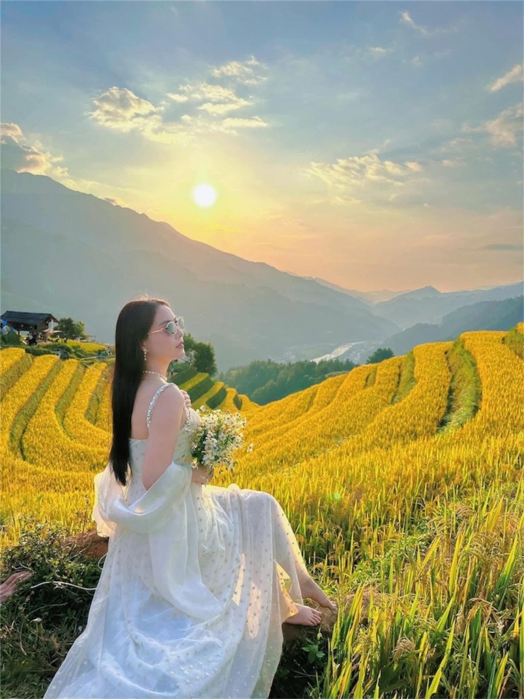 Cảnh lúa chín siêu thực ở Đồi Móng Ngựa Mù Cang Chải