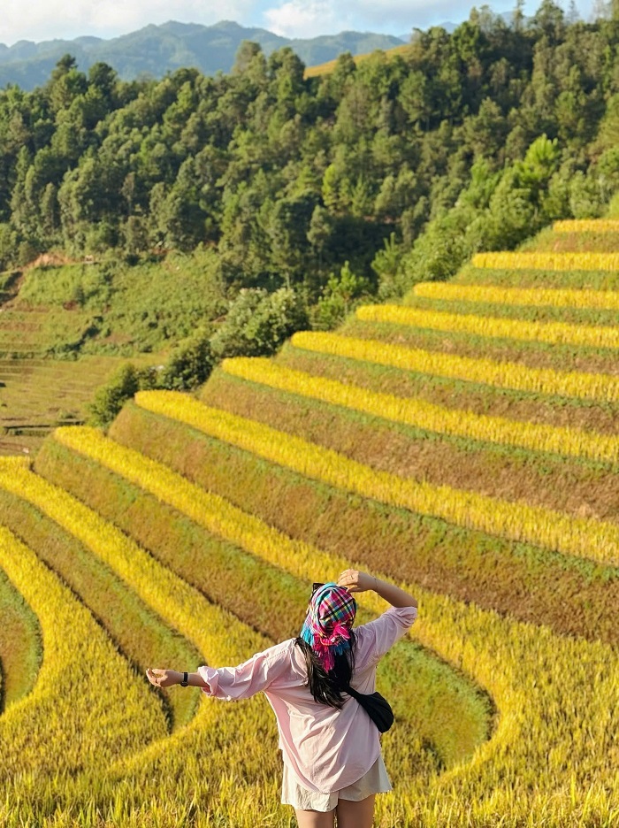Mùa lúa chính đẹp nhất ở Đồi Móng Ngựa Mù Cang Chải