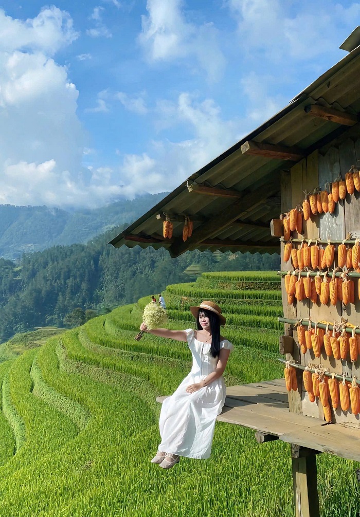 Đồi Móng Ngựa Mù Cang Chải đang chờ bạn khám phá