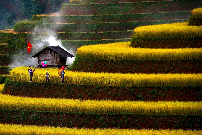Đồi Móng Ngựa Mù Cang Chải thu hút du khách