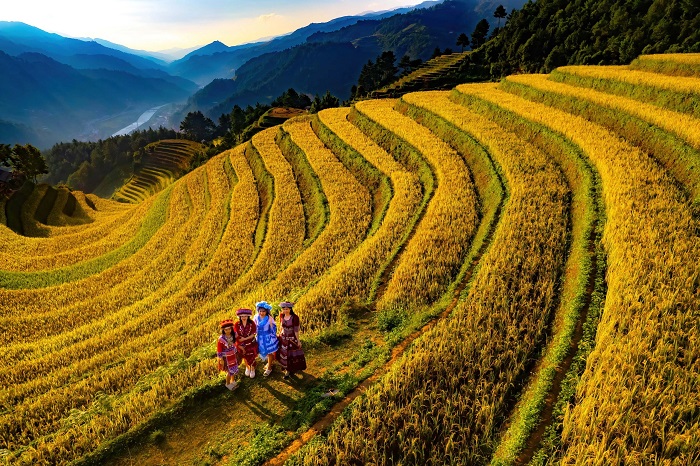 Đồi Móng Ngựa Mù Cang Chải nổi tiếng có ruộng bậc thang đẹp