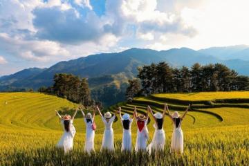 Đồi Móng Ngựa Mù Cang Chải: Nơi lúa chín hòa mình với đất trời