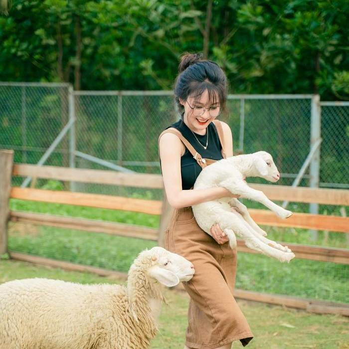 Trong bản Ven Bắc Giang có một nông trại nhỏ, khiến những tín đồ yêu động vật thích mê