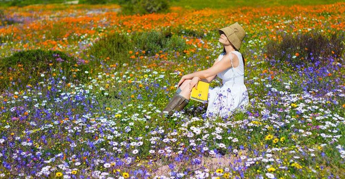 địa điểm ngắm hoa ở Nam Phi vào tháng 9