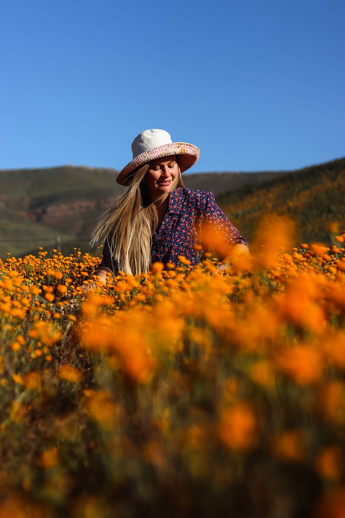 địa điểm ngắm hoa ở Nam Phi vào tháng 9