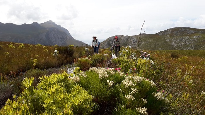 địa điểm ngắm hoa ở Nam Phi vào tháng 9