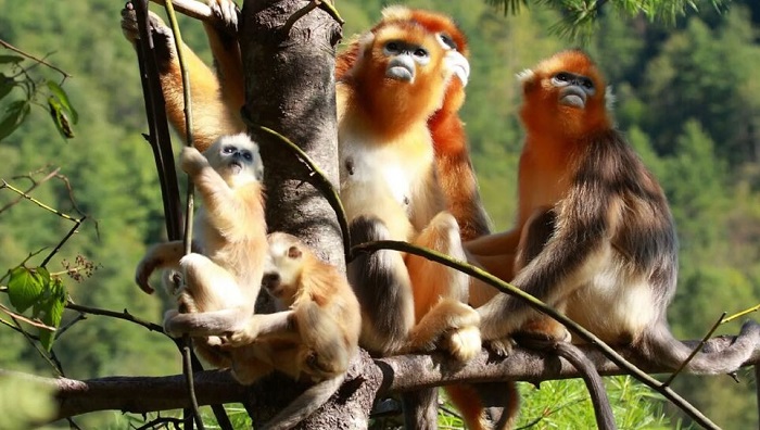 Di sản thế giới của UNESCO tại Trung Quốc