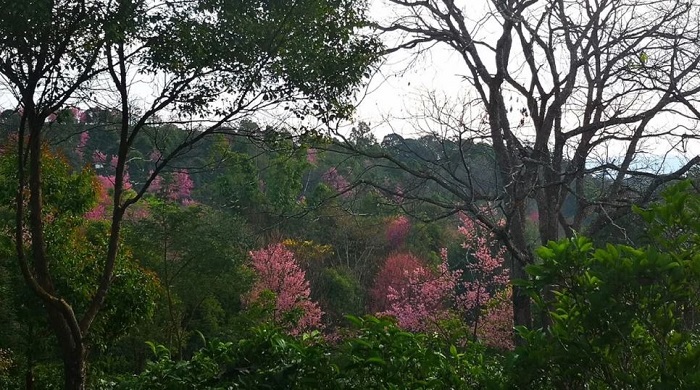 Di sản thế giới của UNESCO tại Trung Quốc