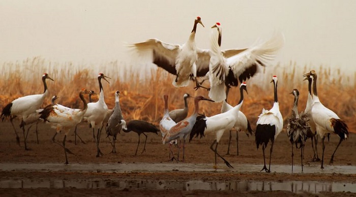 Di sản thế giới của UNESCO tại Trung Quốc