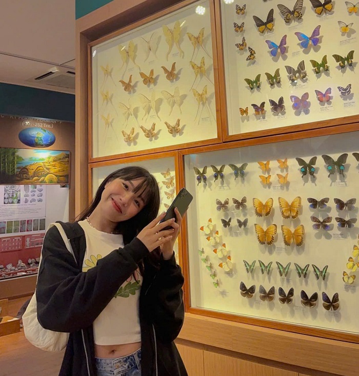 Khám phá thế giới thiên nhiên đầy đa dạng tại địa điểm vui chơi trẻ em ở Quận Cầu Giấy Hà Nội 