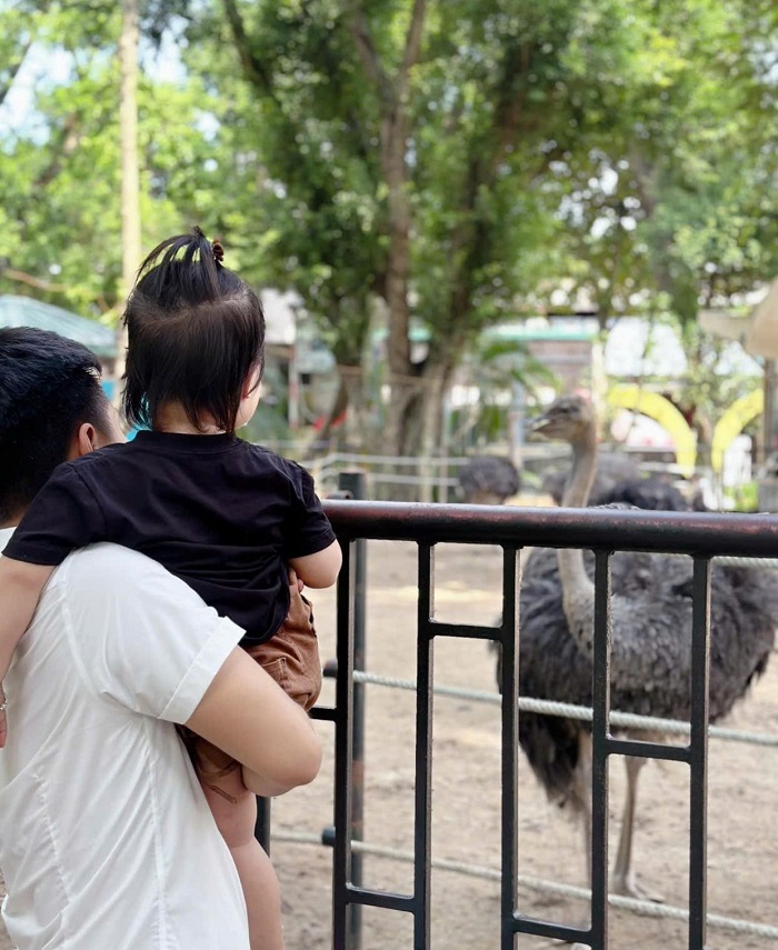 Địa điểm vui chơi trẻ em ở Quận Cầu Giấy Hà Nội khác nữa là Công viên Thủ Lệ