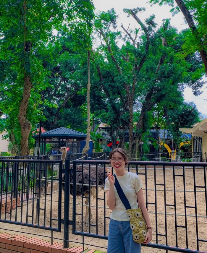 địa điểm vui chơi trẻ em ở Quận Cầu Giấy Hà Nội có nhiều loài chim 